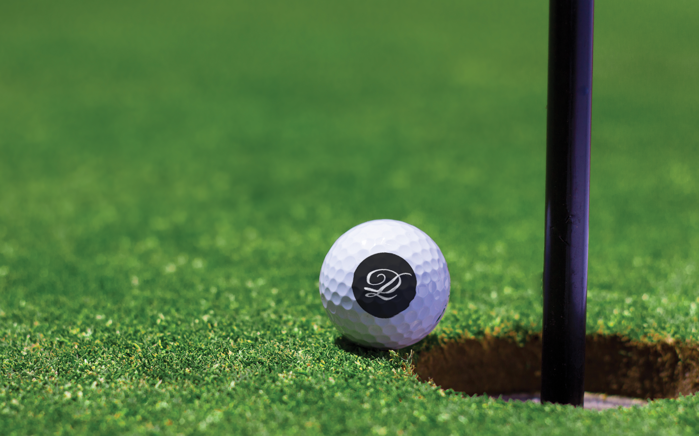 LD LOGO Golf Ball