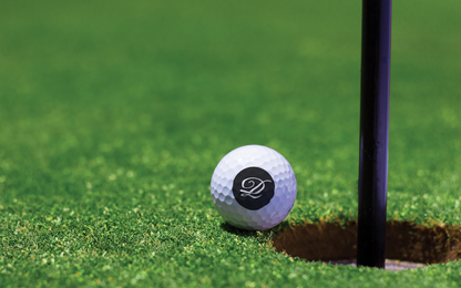 LD LOGO Golf Ball